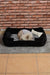 Sheppard Dolgulu Kedi Köpek Yuvası 70x50cm Siyah Gri Bonvagon