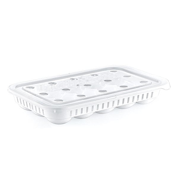 15li Yumurta Saklama Kabı Bonvagon