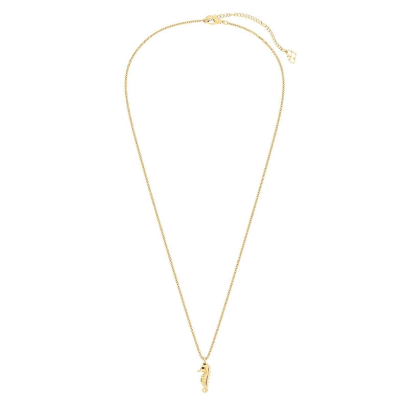 18 Ayar Altın Kaplama Denizatı Kolye 36-43cm Bonvagon