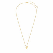 18 Ayar Altın Kaplama Humming Bird Kolye 36-43cm Bonvagon