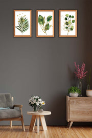 3 Parça Bohem Tarzı Yaprak Ahşap Çerçeve Görünümlü Tablo Seti Bonvagon