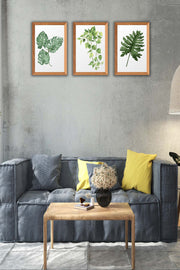 3 Parça Bohem Tarzı Yaprak Ahşap Çerçeve Görünümlü Tablo Seti Bonvagon