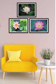 3 Parça Gölde Yüzen Pembe Çiçek Tarzında Siyah Çerçeve Görünümlü Mdf Tablo Seti Bonvagon