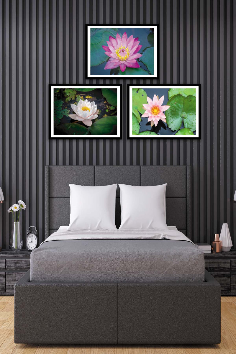 3 Parça Gölde Yüzen Pembe Çiçek Tarzında Siyah Çerçeve Görünümlü Mdf Tablo Seti Bonvagon
