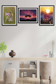3 Parça Sanatsal Manzara Tarzında Siyah Çerçeve Görünümlü Mdf Tablo Seti Bonvagon