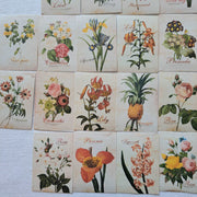 52 Adet Çiçekli Sticker Seti Bonvagon