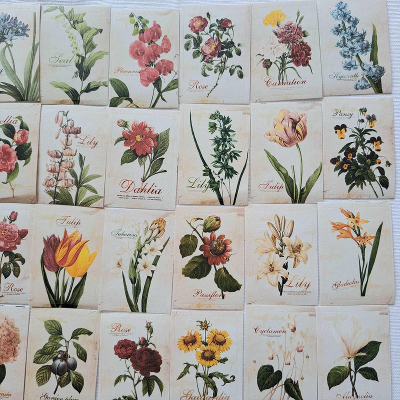 52 Adet Çiçekli Sticker Seti Bonvagon