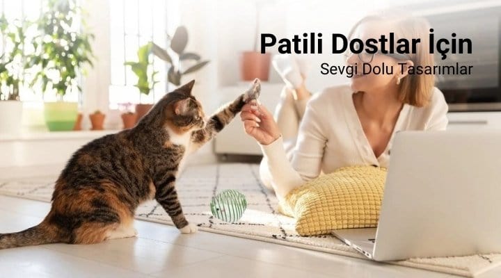 Kedi Köpek Aksesuar Bonvagon