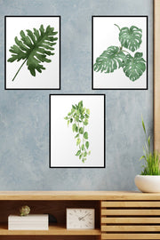 Botanik Tarzda 3lü Tablo Seti Siyah Çerceve Görünümlü Bonvagon