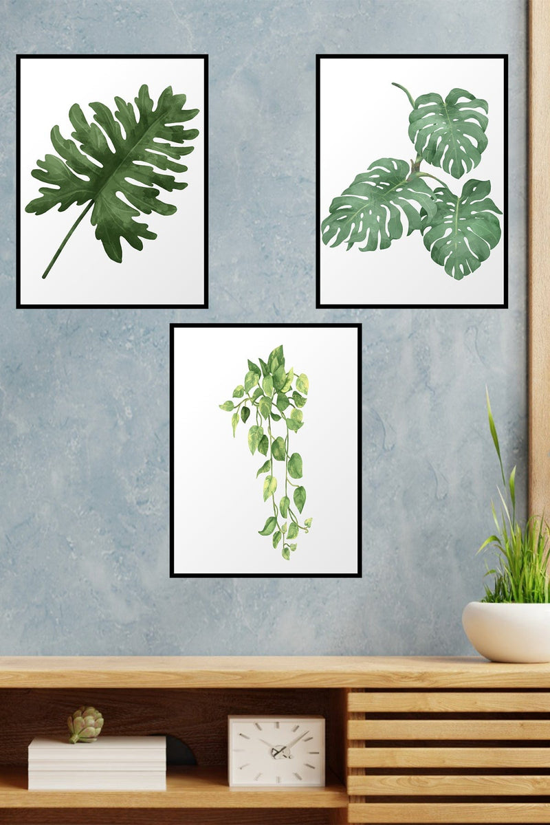 Botanik Tarzda 3lü Tablo Seti Siyah Çerceve Görünümlü Bonvagon