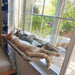 Cama Asılan Kedi Yatağı Bonvagon