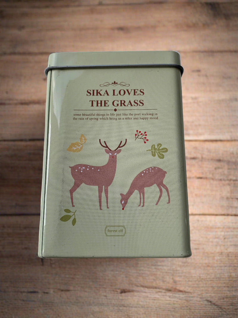 Ceylan Metal Kutu 10x3cm Bonvagon