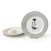 Floral Essence Assos Pasta Tabağı 22 Cm 4 Adet / 22890-93-94-22949 Bonvagon