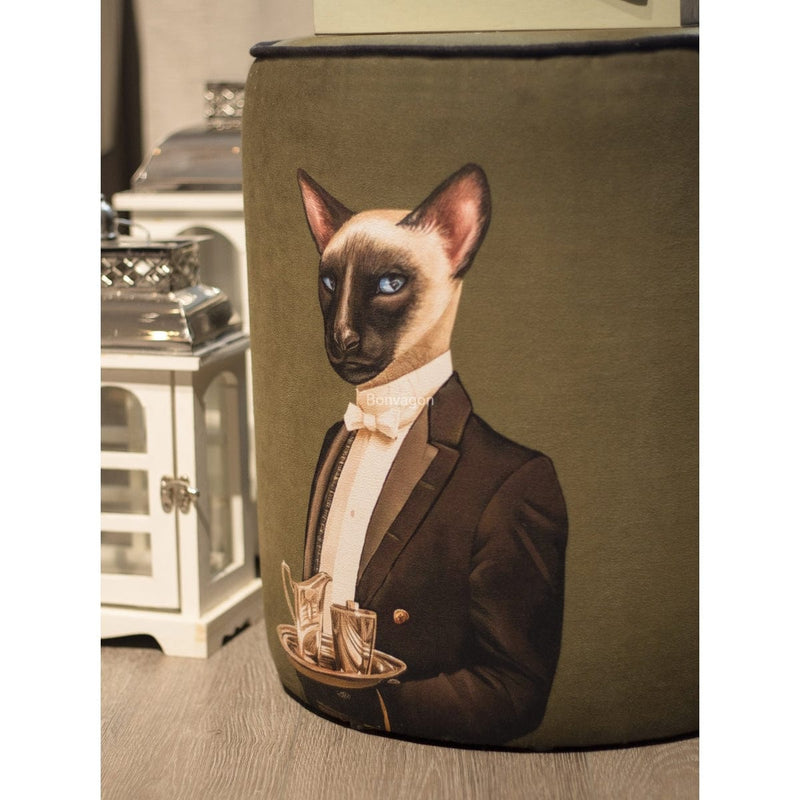 Hey Cat Puf Bonvagon