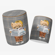 Hey Teddy Reading Puf
