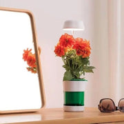 Hızlı Bitki Yetiştirme Saksısı Bonvagon