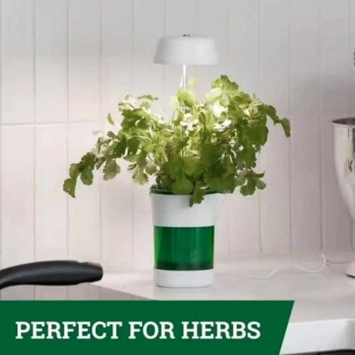 Hızlı Bitki Yetiştirme Saksısı Bonvagon