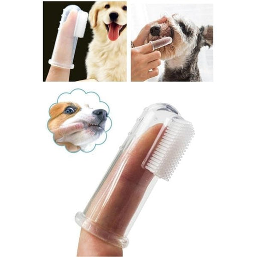 Kedi Köpek Diş Temizleme Fırçası Bonvagon