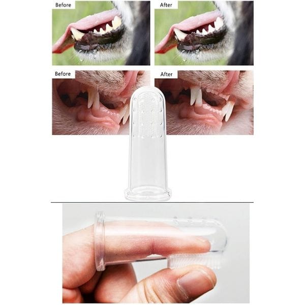 Kedi Köpek Diş Temizleme Fırçası Bonvagon