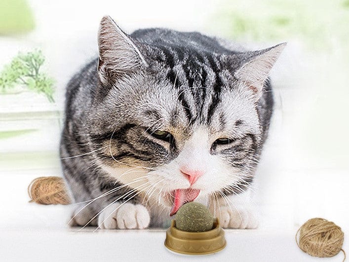 Kedi Otu Oyun Topu Cat Mint Bonvagon