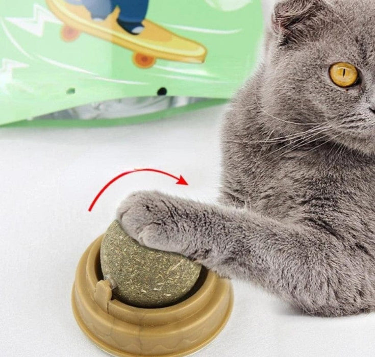 Kedi Otu Oyun Topu Cat Mint Bonvagon