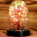 Led Işıklı Mini Ağaç Fanus Teraryum 4 Bonvagon