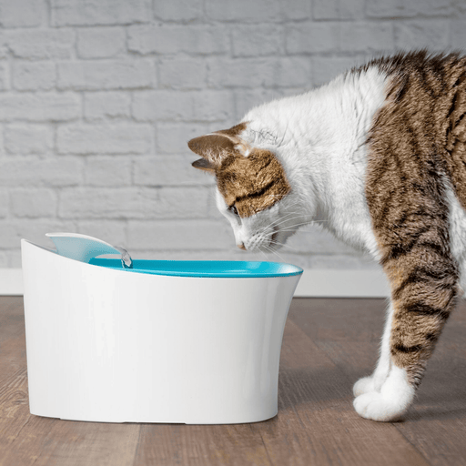 Otomatik Kedi Köpek Su Kabı Suluğu Bonvagon