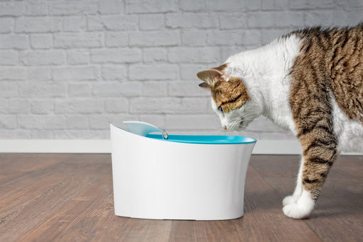 Otomatik Uyarılı Kedi Köpek Su Kabı Bonvagon