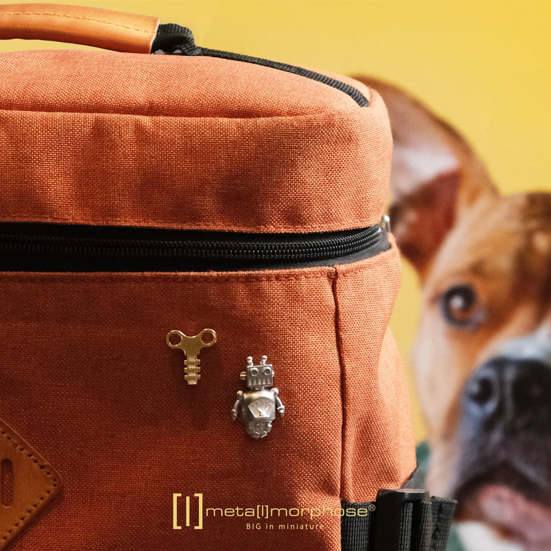 Robot and The Key Broş Pin Seti Bonvagon Metalmorphose