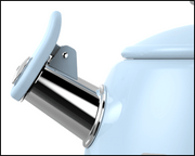 Smeg Ocak Üstü Islıklı Whistling Kettle Su Isıtıcısı Pastel Yeşil CKLW2001PG Bonvagon